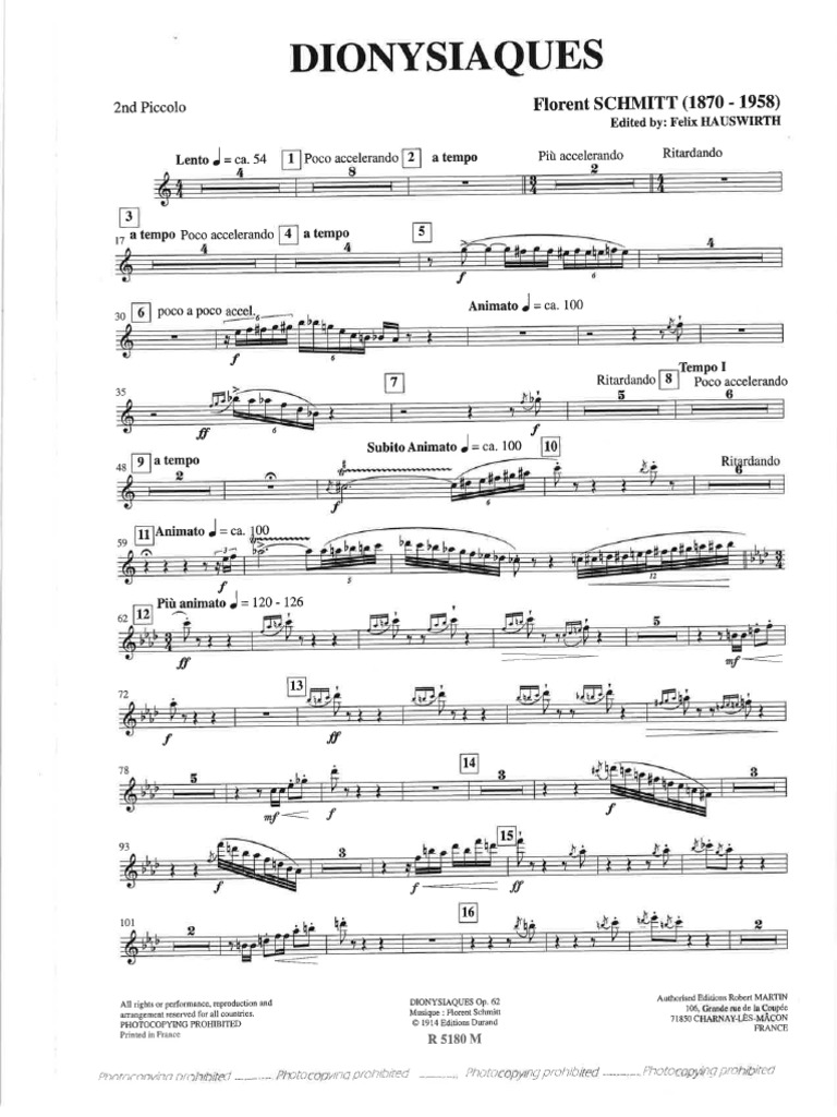 Piccolo 2 | PDF