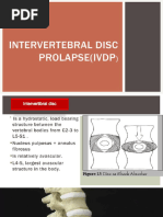 Understanding Herniated Nucleus Pulposus | PDF | Vertebral Column ...