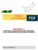 Materi Fenolik-Flavonoid