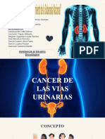 Cancer de Las Vias Urinarias