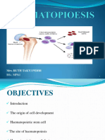 Lecture 3 (1) Haematopoeisis