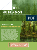 Exposición Bosques Nublados