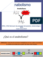 Anabolismo 23