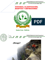 Inso Clasificacion, Conceptos, Definiciones - Santa Cruz 2023
