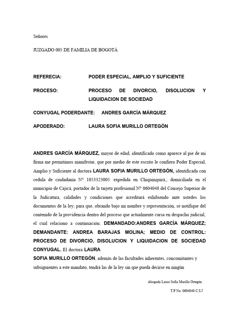 Contestacion Demanda | PDF | Divorcio | Propiedad de la comunidad
