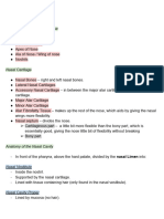 Anatomy - Lecture 1 (1)