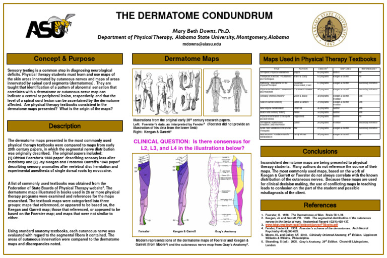 The Unexpected Uses Of Dermatome Maps In Clinical Practice - 9jiuosc