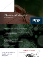 Diseases and Mosquito Biology Project