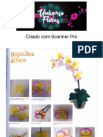 Apostila de Flores, Montagens ?