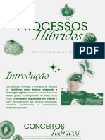 Processos Hibridos