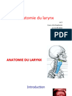 Anatomie Larynx