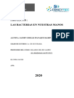 Proyecto - Bacterias en Las Manos - Jazmin Ipanaque Balbin