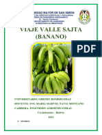 Valle Sajta Banano