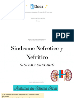 Sindrome Nefritico y Nefrotico