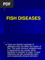 Fish Diseases