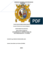 Informe Biología Vegetal 20-21 Inflorescencia y Flor