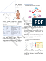 I4 Físio - MSD