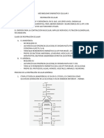 Metabolismo Energético Celular Ii