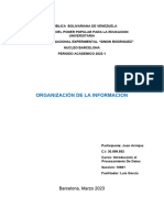 Organización de La Información