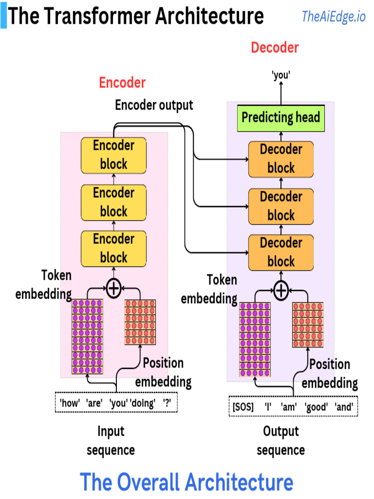 The Transformer Architecture | Download Free PDF | Learning | Cognitive ...
