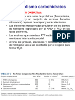 METABOLISMO