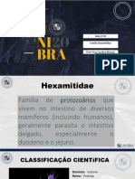 Aula 3 - Hexamitidae