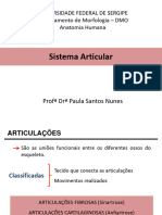 Sistema Articular