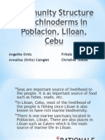 Community Structure of Echinoderms in Poblacion Liloan