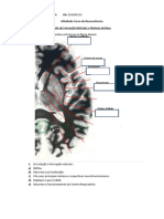 Atividade Curso de Neurociências