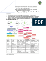 Preinforme 4 Bioquímica - Pruebas de Identificación para Carbohidratos