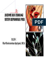 Kuliah I - Anatomi & Fisiologi Sistem Reproduksi Pria