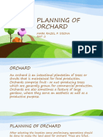 Planning of Orchard