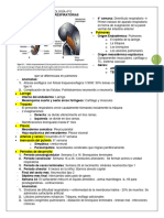 GENERALIDADES Neumologia