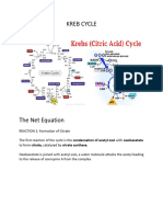 Kreb Cycle