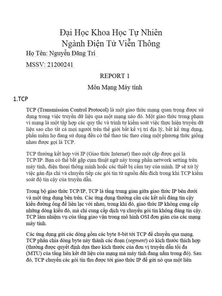 Report Computer Networking PDF