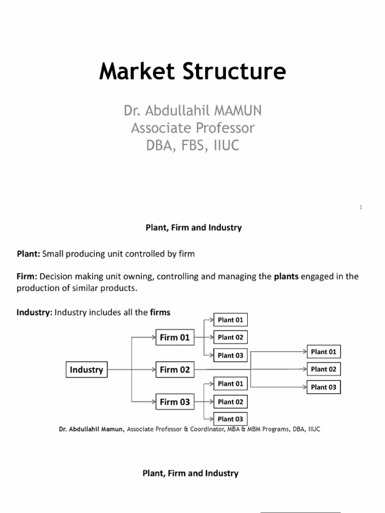 06 Market Structure | PDF