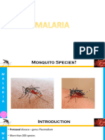 6 Malaria