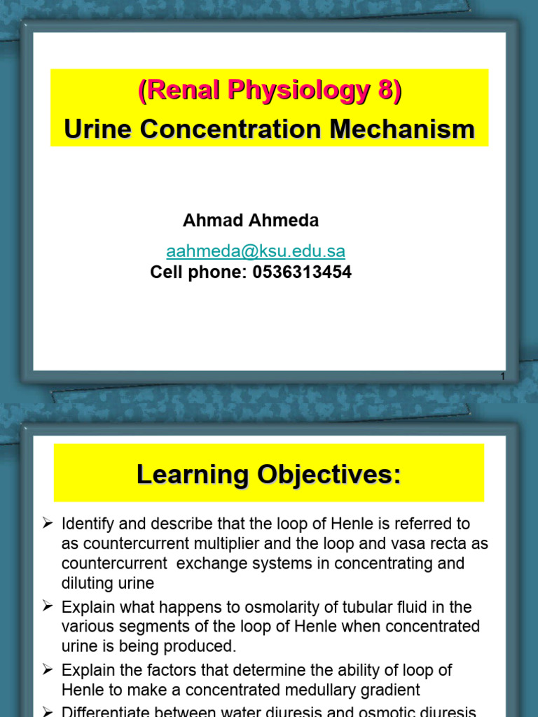 8Renal Physiology 8 (Urine Concentration and Dilution) PDF Kidney