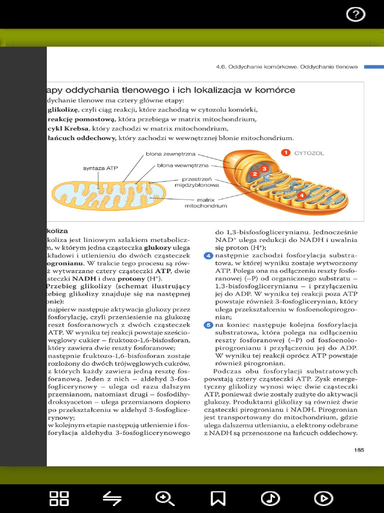 Biologia Na Czasie 2 Podręcznik Online