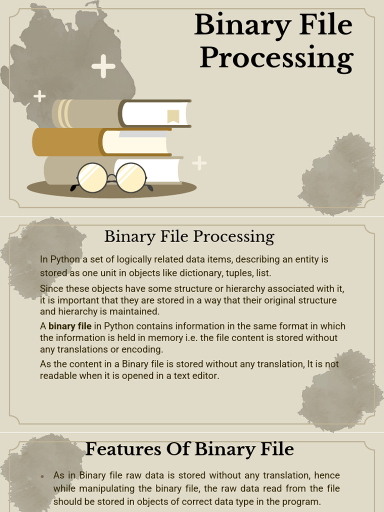 Binary File Handling | PDF | Computer File | Text File