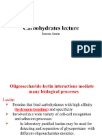 Carbohydrates Lecture 4