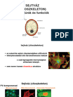 Sejtváz Előadás TBL 050419 1