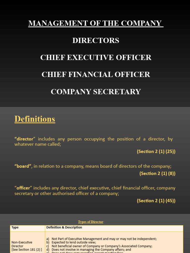 Company Directors' Guidelines | PDF | Board Of Directors | Accountant