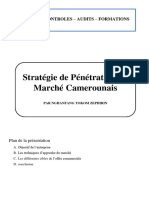 Stratégie de Pénétration Du Marché Camerounais