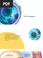 Cytoplasm of A Cell