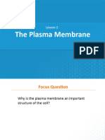 Lesson 2 The Plasma Membrane