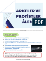 Arkeler Ve Prosti̇tler Alemi̇