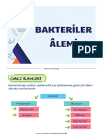 Bakteri̇ler Alemi̇