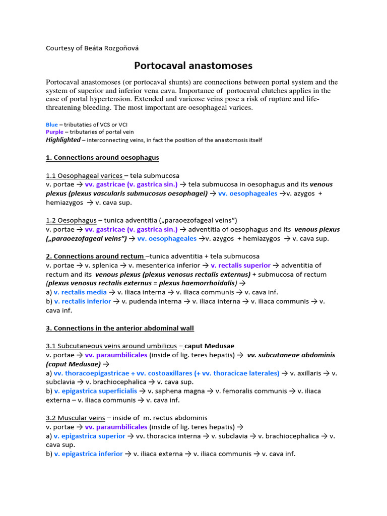 Portocaval Anastomoses 2 Ap2 PDF Vein Abdomen