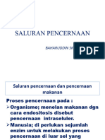 Sistem Pencernaan Dan Pencernaan Makanan